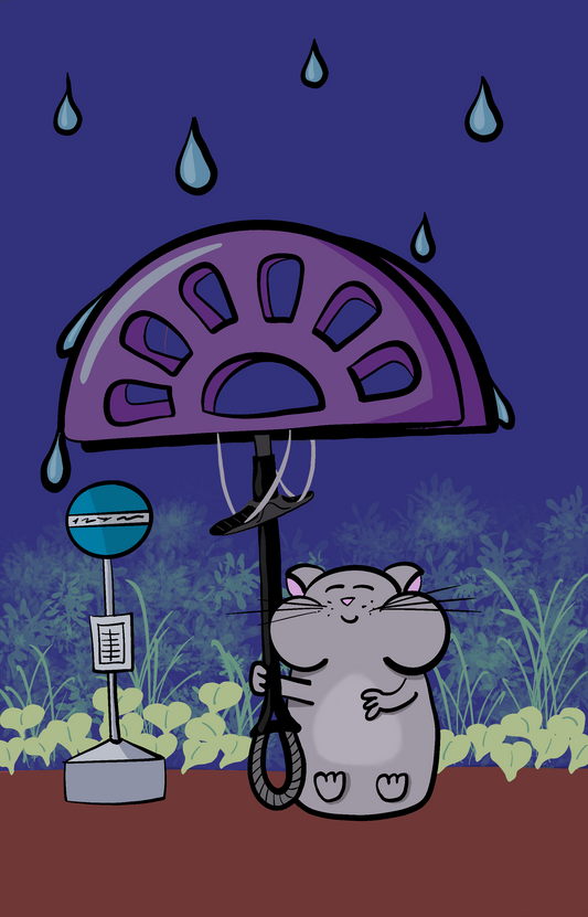 Cambrella